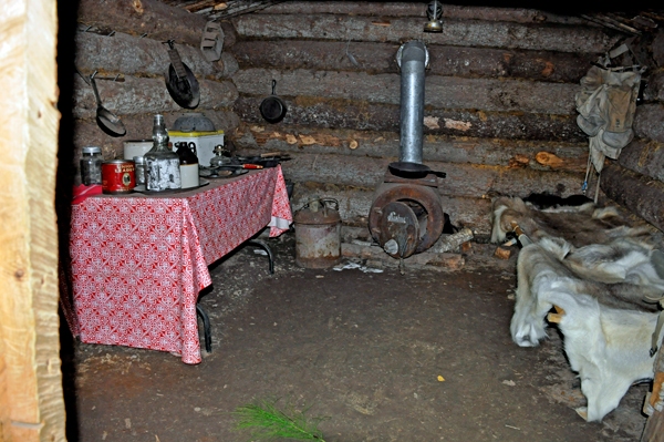 a peek into the log cabin